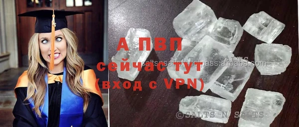 ECSTASY Белоозёрский