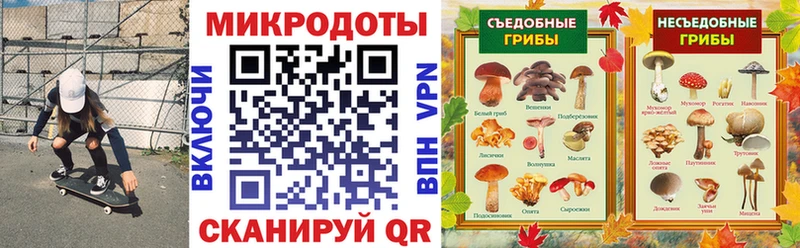 ссылка на мегу как зайти  Верхняя Пышма  Псилоцибиновые грибы прущие грибы 