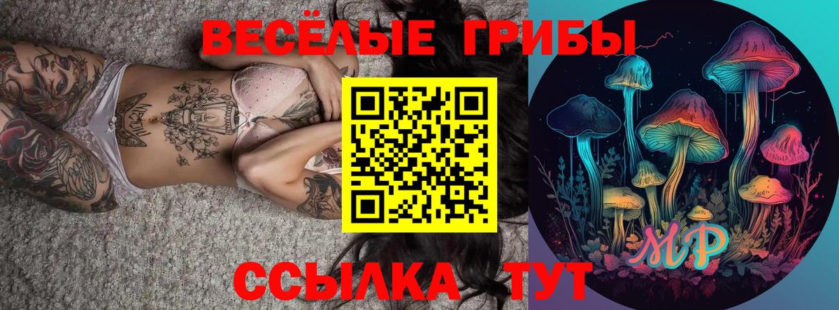Псилоцибиновые грибы ЛСД  Вход с VPN  Псилоцибиновые грибы ЛСД  Верхняя Пышма 