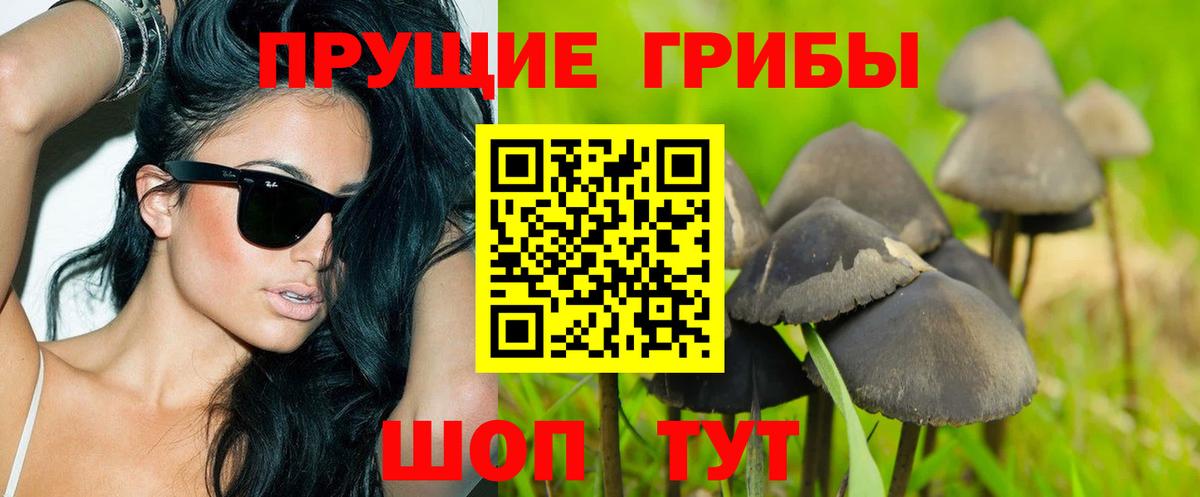 Галлюциногенные грибы Cubensis  Верхняя Пышма 